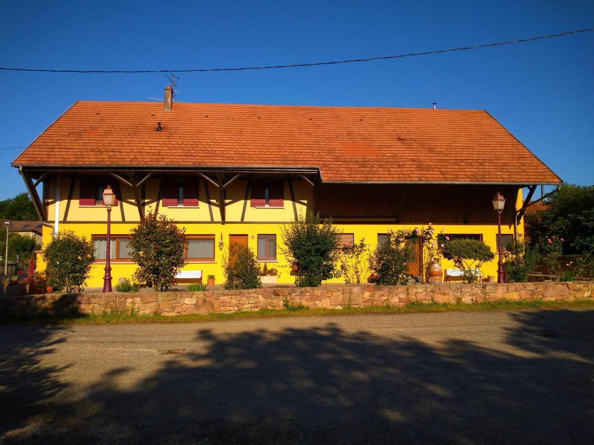 Le Pelican Apartment Wittenheim Exterior photo