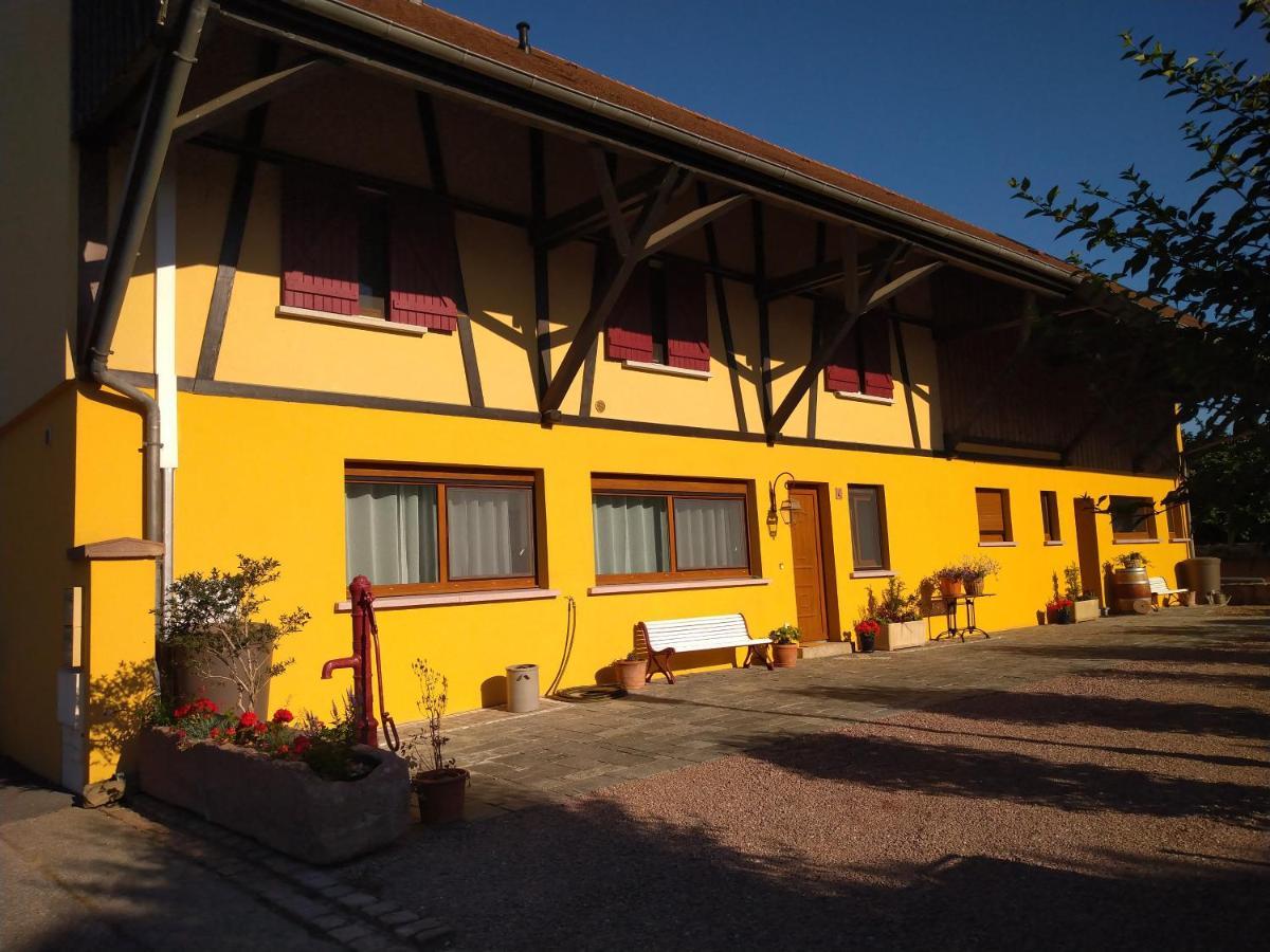 Le Pelican Apartment Wittenheim Exterior photo